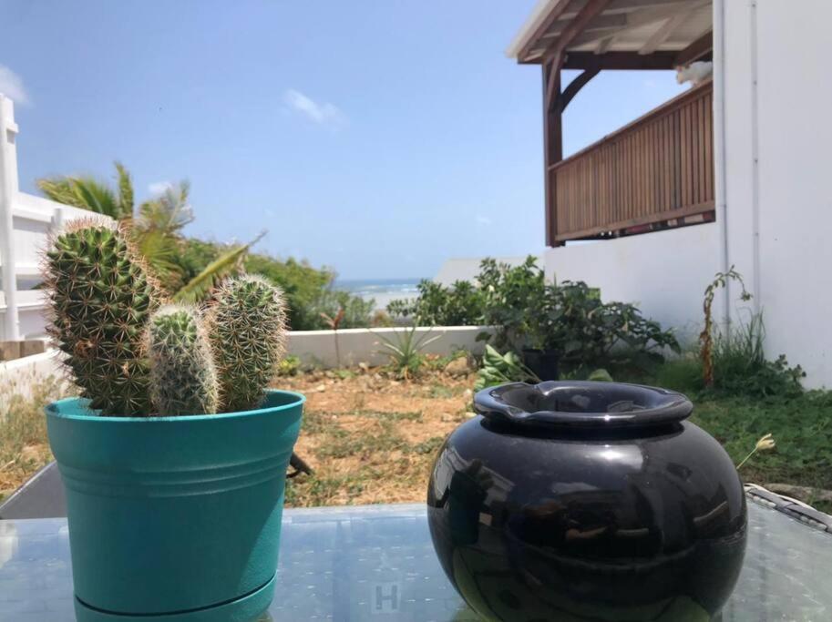 Vacances Entre Mer Et Colline Quarter of Orleans エクステリア 写真